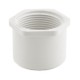Sch 40 PVC Spigot x FIP Bushings