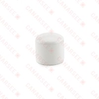 1/2" PVC (Sch. 40) Cap