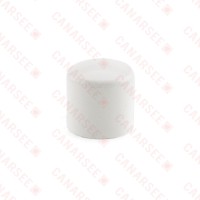 3/4" PVC (Sch. 40) Cap