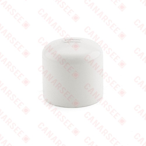 1" PVC (Sch. 40) Cap