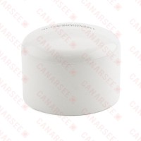 2" PVC (Sch. 40) Cap