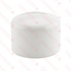 2" PVC (Sch. 40) Cap