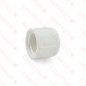 1/2" PVC (Sch. 40) FIP Cap