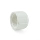 Sch 40 PVC (FIP) Caps