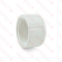 1" PVC (Sch. 40) FIP Cap