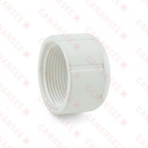 1" PVC (Sch. 40) FIP Cap