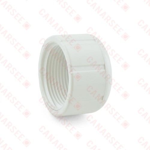 1" PVC (Sch. 40) FIP Cap