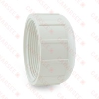 2" PVC (Sch. 40) FIP Cap