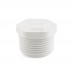 1" PVC (Sch. 40) Threaded Plug (MIP)