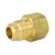 1/2" Flare x 1/2" Female NPT Threaded Brass Adapter