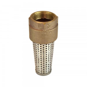 Check Valves