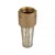 1” Threaded Foot Valve (Lead-Free)