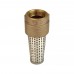 1-1/4” Threaded Foot Valve (Lead-Free)
