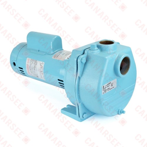 Lawn Sprinkler Pump, 2HP, 230V, Cast Iron