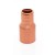 Everhot 643X3 3/4" PEX x 3/4" Lead-Free Copper Fitting Adapter