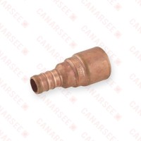 1/2” PEX x 1/2” CPVC Adapter, Lead-Free