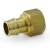 3/4” PEX Expansion x 3/4” FNPT Adapters, Lead-Free