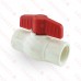 1” PVC Ball Valve, FPT Threaded, Sch. 40/80