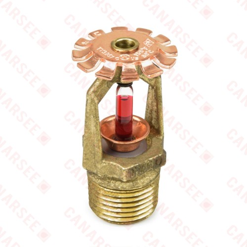 TY-B Pendent Fire Sprinkler Head, Standard Response K=5.6, Rough Brass, 155°F, 1/2" NPT
