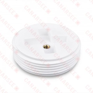PolyPro Threaded Flush Cleanout Plug, Countersunk, 2-1/2" MIP