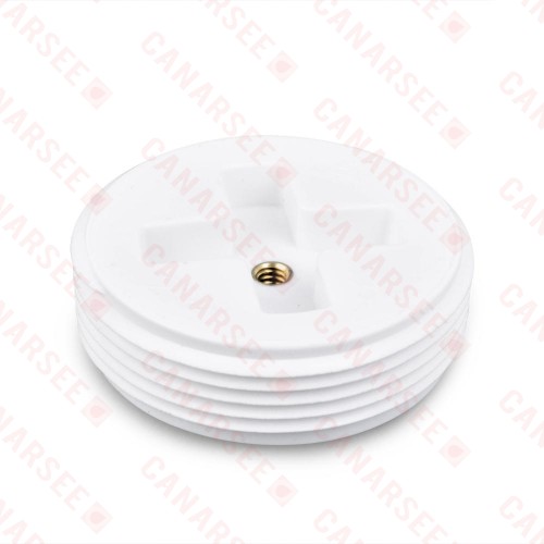 PolyPro Threaded Flush Cleanout Plug, Countersunk, 2-1/2" MIP
