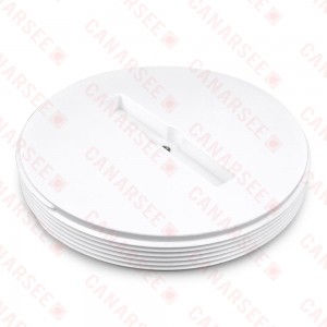 PolyPro Threaded Flush Cleanout Plug, Countersunk, 6" MIP