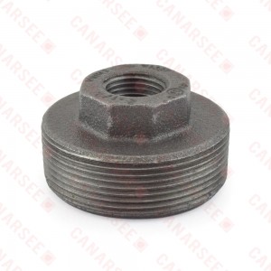 2" x 1/2" Black Bushing (Imported)