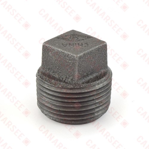 1" Black Plug (Imported)