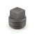 1" Black Plug (Imported)