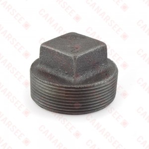 2" Black Plug (Imported)
