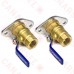 3/4” NPT Pump Isolation Valves (Pair)