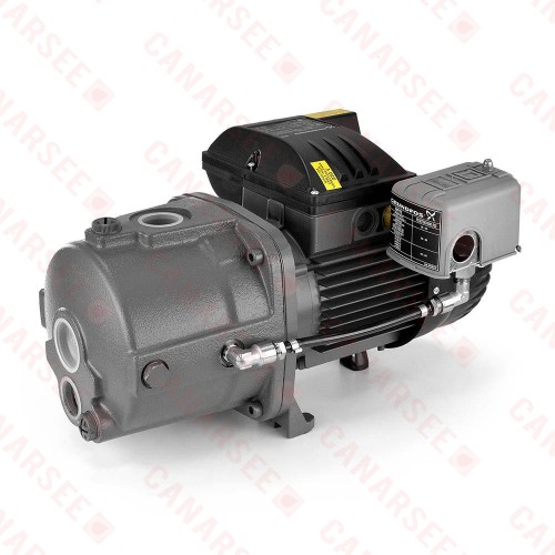 Deep Well Jet Pump, 3/4HP, 115/230V, Cast Iron