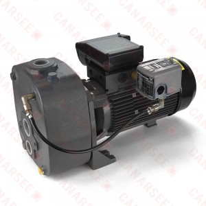 Grundfos 97855093 Deep Well Jet Pump, 2HP, 230V, Cast Iron