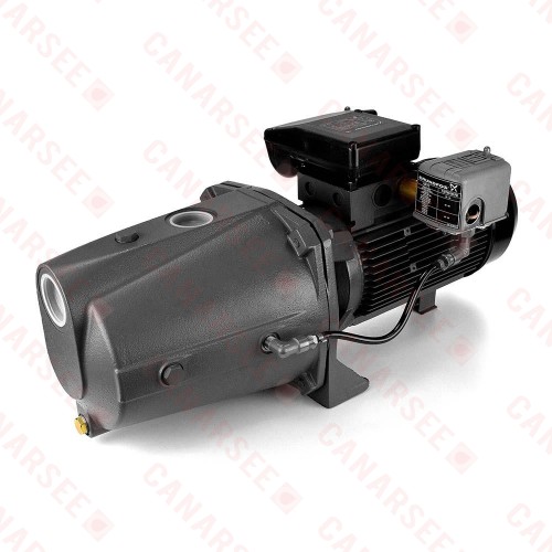 Shallow Well Jet Pump, 3HP, 230V, Cast Iron