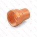 1-1/4" FTG x Female Threaded Street Adapter