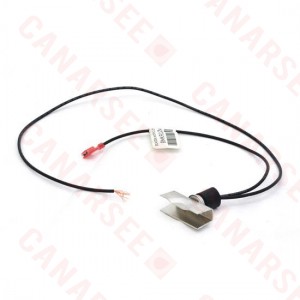 Beacon Morris Low Temperature Aquastat for K120