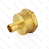 1/2” PEX x 3/4” Female Threaded Adapter