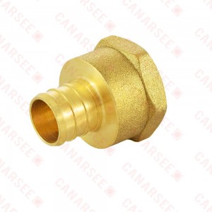 Everhot BPF7506 3/4" PEX x 3/4" Female Threaded Adapter