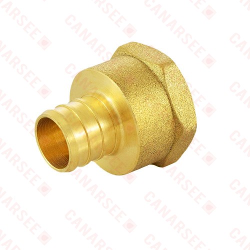Everhot BPF7506 3/4" PEX x 3/4" Female Threaded Adapter