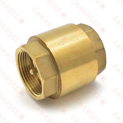 1-1/4” Threaded Spring Check Valve