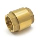 Spring Check Valves