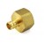 1/2” PEX x 3/4” Female Threaded Adapter, Lead-Free