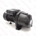 Deep Well Jet Pump w/ Pressure Switch, 1/2HP, 115/230V, Cast Iron