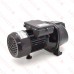 Deep Well Jet Pump w/ Pressure Switch, 1/2HP, 115/230V, Cast Iron