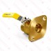 1" SWT Isolator Flange Valve (Lead-Free)