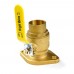 1-1/4" SWT Isolator Flange Valve