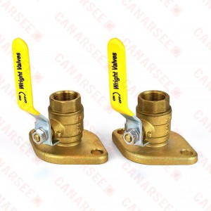 3/4" Threaded Isolator Flange Valves (pair)