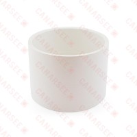 2" PVC DWV Coupling