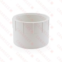 2" PVC DWV Female Adapter