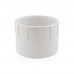 2" PVC DWV Female Adapter